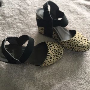 Cheetah wedges